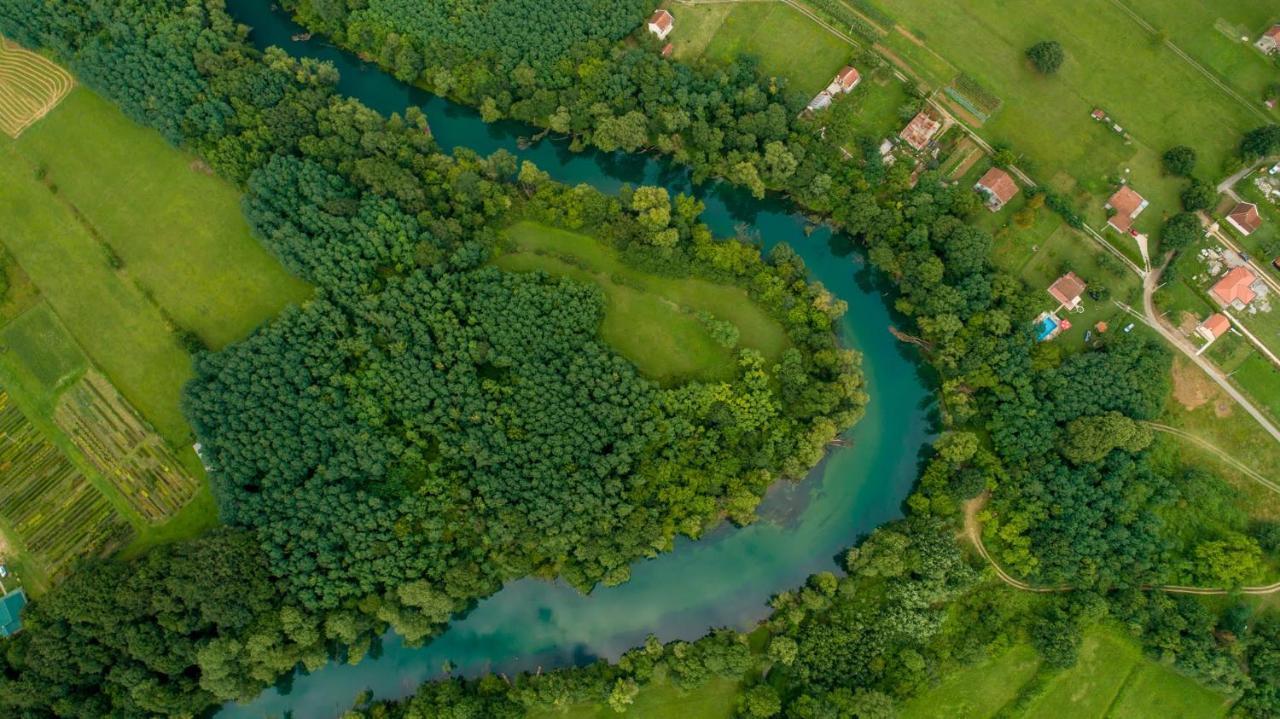 Vila Andrea Danilovgrad 外观 照片